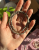 448.png