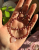 447.png